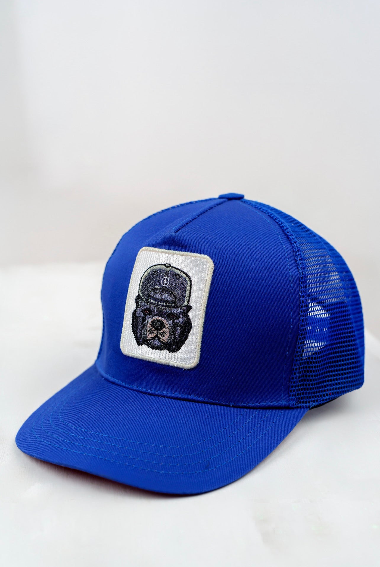 Blue Treu Logo Cap